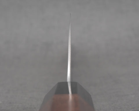 Hatsukokoro "Hayabusa" Aogami Super Gyuto