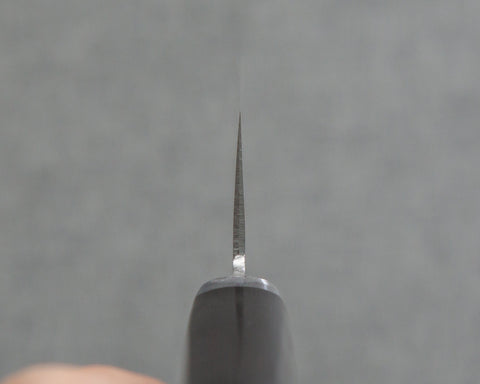 MIVGSDXGY180WPSK004.jpg
