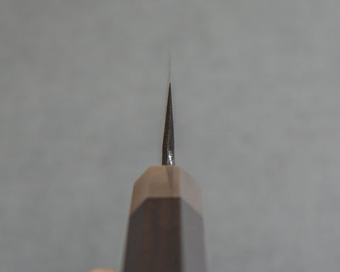 NMS2SKTPT150GEBA004.jpg