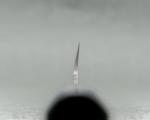 Nigara Mizu-Honyaki Aogami #2 "Mount Fuji" 300mm Kiritsuke Yanagiba