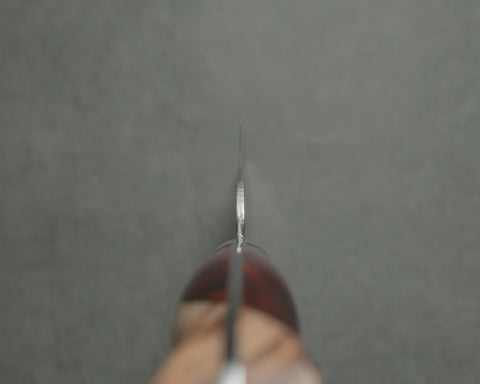 Nigara R2/SG2 Matt Migaki Tsuchime 210mm Gyuto with Stabilized Wood / Polished Ruby Acrylic Handle