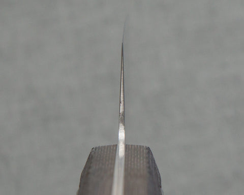 TJVGSDXSK170WRXD005.jpg