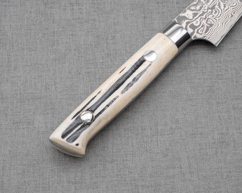 Takeshi Saji R2/SG2 Black Damascus Petty with White Antler Handle