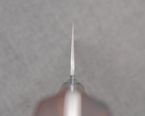 Takeshi Saji R2/SG2 Diamond Damascus 180mm Bunka with Ironwood Handle