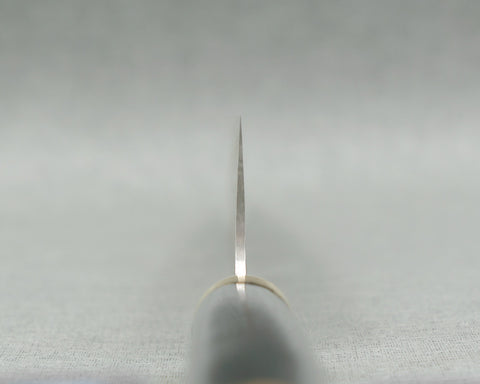 TSR2SDPGY210VKUK2004.jpg