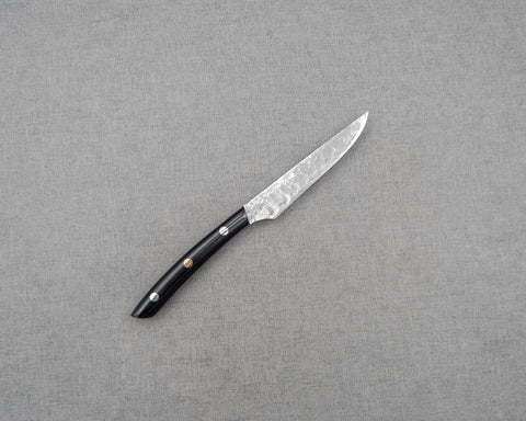Takeshi Saji R2/SG2 Diamond Damascus 125mm Steak Knife with Micatra Handle