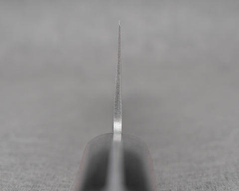 Tsunehisa Ginsan (Silver #3) Nashiji 210mm Gyuto