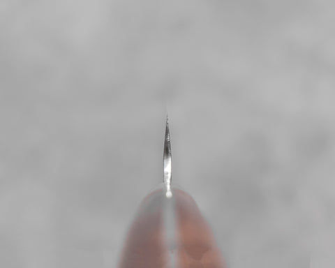 YUR2SDTKP130WISD004.jpg