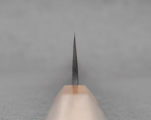 Kaishin Aogami #2 Kurouchi Kasumi 240mm Sujihiki