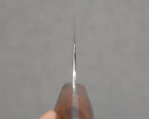 Yoshikazu Ikeda Mizu-Honyaki Shirogami #1 Ripple (Mt. Fuji) Mirror 240mm Gyuto with Ironwood Handle
