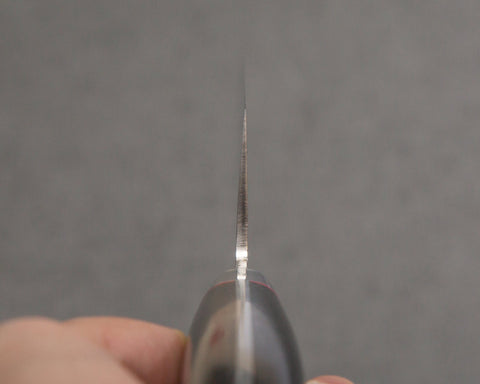 KGVGSDXGY230WRSK005.jpg