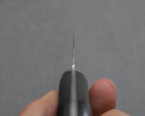 MS1AZXXPT150WDPK005.jpg