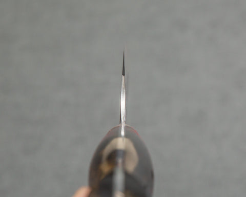 Nigara R2/SG2 Tsuchime Kurouchi 210mm Gyuto with Polished Tigereye Acrylic Handle