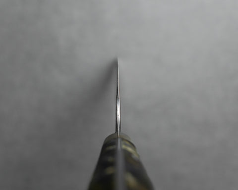 Nigara R2/SG2 Tsuchime Kurouchi 240mm Gyuto with Polished Mysterious Forest Acrylic Handle
