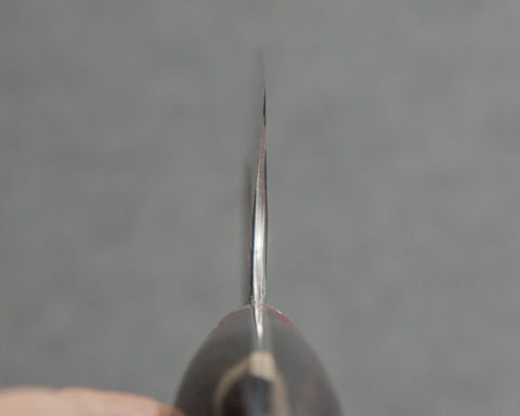 Nigara R2/SG2 Tsuchime Kurouchi 210mm Kiritsuke Gyuto with Polished Tigereye Acrylic Handle
