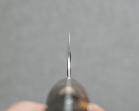 Nigara R2/SG2 Matt Migaki Tsuchime 240mm Gyuto with Polished Tigereye Acrylic Handle