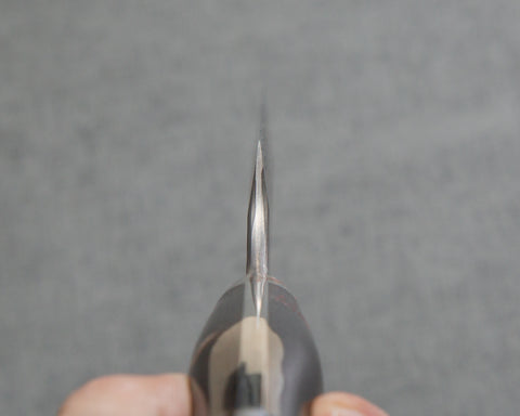 Nigara R2/SG2 Matt Migaki Tsuchime 135mm Honesuki with Polished Tigereye Acrylic Handle