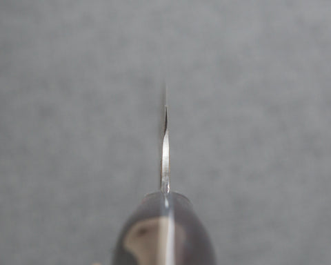 Nigara R2/SG2 Matt Migaki Tsuchime 255mm Kiritsuke Sujihiki with Polished Twilight Blue Acrylic Handle