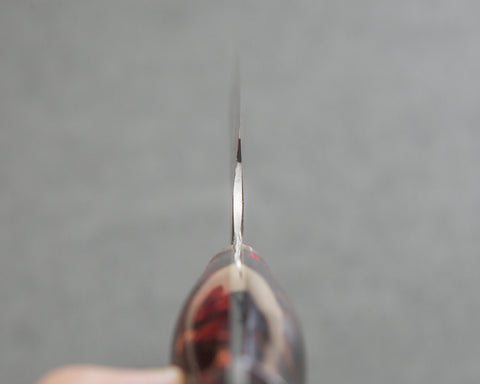 Nigara R2/SG2 Tsuchime Kurouchi 270mm Sakimaru Sujihiki with Polished Tigereye Acrylic Handle