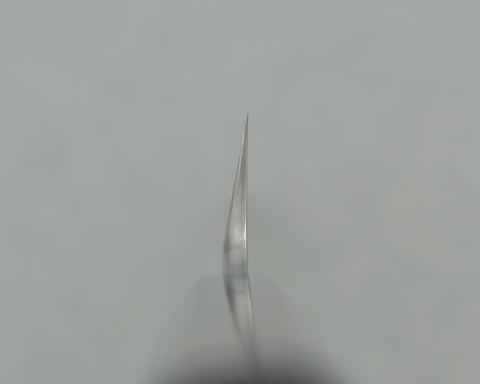 NRS1YRXYG330GEWU005.jpg
