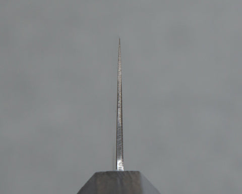 Sakai Takayuki "Ryky Limited Edition" Aogami #2 240mm Gyuto