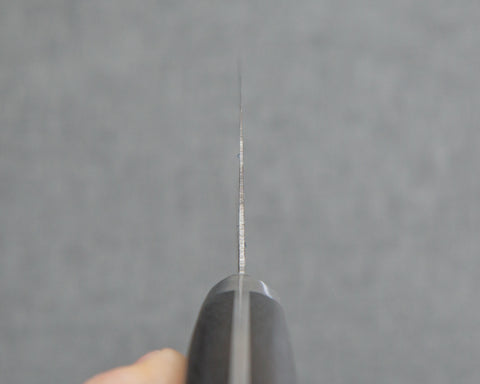 Sakai Takayuki VG10/VG2 無芯大馬士革 160mm Bunka 附米卡塔手柄
