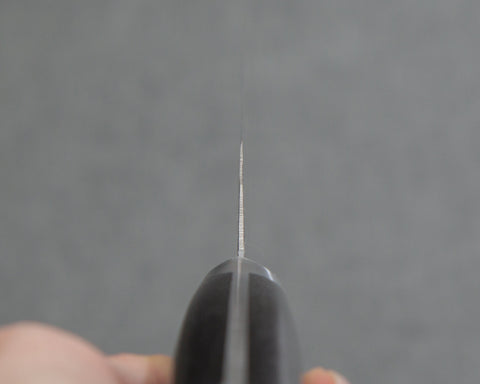 STVGZDXKU260WXSK004.jpg