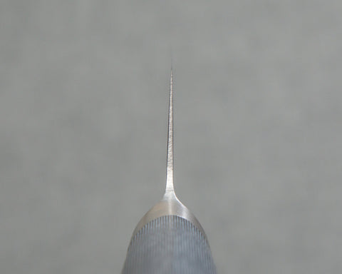 TJVGSXXGY200DRSG005.jpg