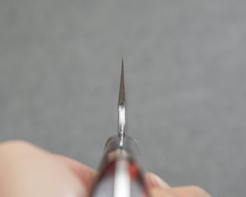 Takeshi Saji Aogami Super Kurouchi Tsuchime 240mm Gyuto with Polished Tigereye Acrylic Handle