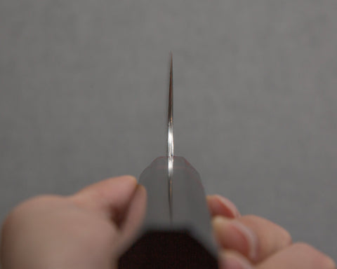 Takeshi Saji R2/SG2 Diamond Damascus 270mm Kiritsuke Gyuto with Red Ring Buffalo Horn Handle
