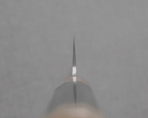 TSR2SDPPT130GENW004.jpg
