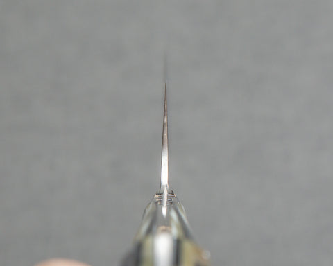 Takeshi Saji R2/SG2 Diamond Damascus 165mm Nakiri with Acetate Fiber Handle