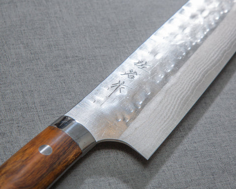 Takeshi Saji SRS13 Damascus Tsuchime 240mm Kiritsuke with Ironwood Handle