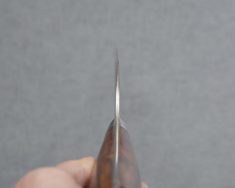 Takeshi Saji SRS-13 Damascus Tsuchime 240mm Kiritsuke with Ironwood Handle