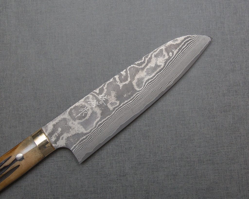 Takeshi Saji VG-10 Custom Damascus Wild Series Gyuto (180mm to 270mm, 4  sizes, Stag Bone Handle)