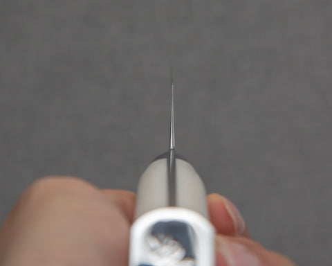 ZMVGSDXPK230WRSW005.jpg