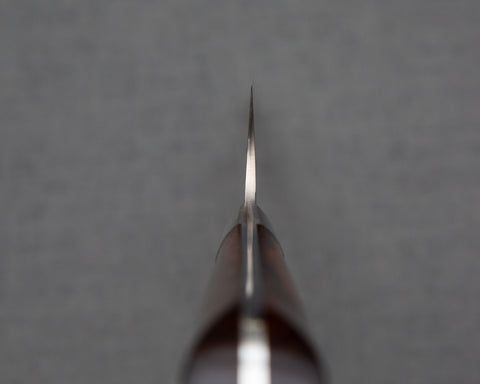 Takeshi Saji R2/SG2 Black Damascus 240mm Kiritsuke Gyuto with Ironwood Handle