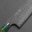 Nigara "Anmon" R2/SG2 49 Layers Kurosome Damascus 240mm Gyuto with Polished Emerald Tempest Acrylic Handle