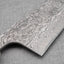 Takeshi Saji R2/SG2 Black Damascus 270mm Gyuto with Ivory / Rosewood Handle