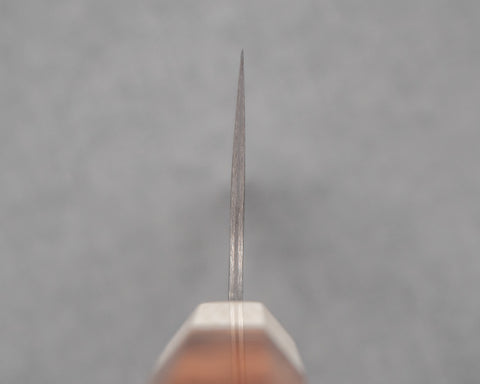 Takeshi Saji R2/SG2 Black Damascus 270mm Gyuto with Ivory / Rosewood Handle