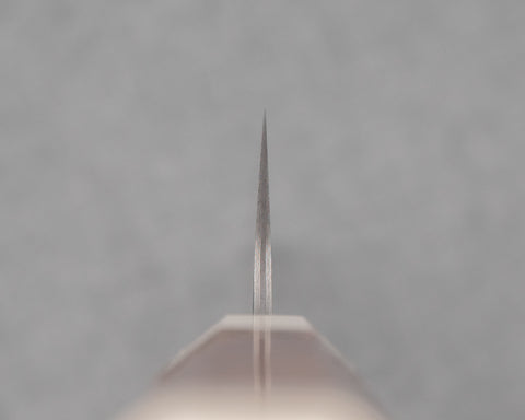 Takeshi Saji R2/SG2 Black Damascus 240mm Sujihiki with Ivory / Rosewood Handle