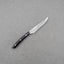 Takeshi Saji R2/SG2 Diamond Damascus 125mm Steak Knife with Micatra Handle