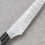 Takeshi Saji R2/SG2 Diamond Damascus 125mm Steak Knife with Micatra Handle