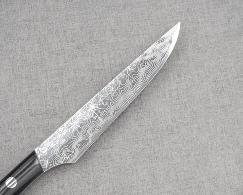 Takeshi Saji R2/SG2 Diamond Damascus 125mm Steak Knife with Micatra Handle