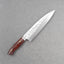 Takeshi Saji SRS13 Migaki Tsuchime Gyuto with Karin Wood Handle