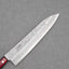 Tsunehisa Ginsan (Silver #3) Nashiji 210mm Gyuto