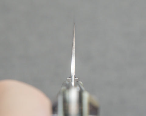 Takeshi Saji R2/SG2 Diamond Damascus 165mm Nakiri with Acetate Fiber Handle